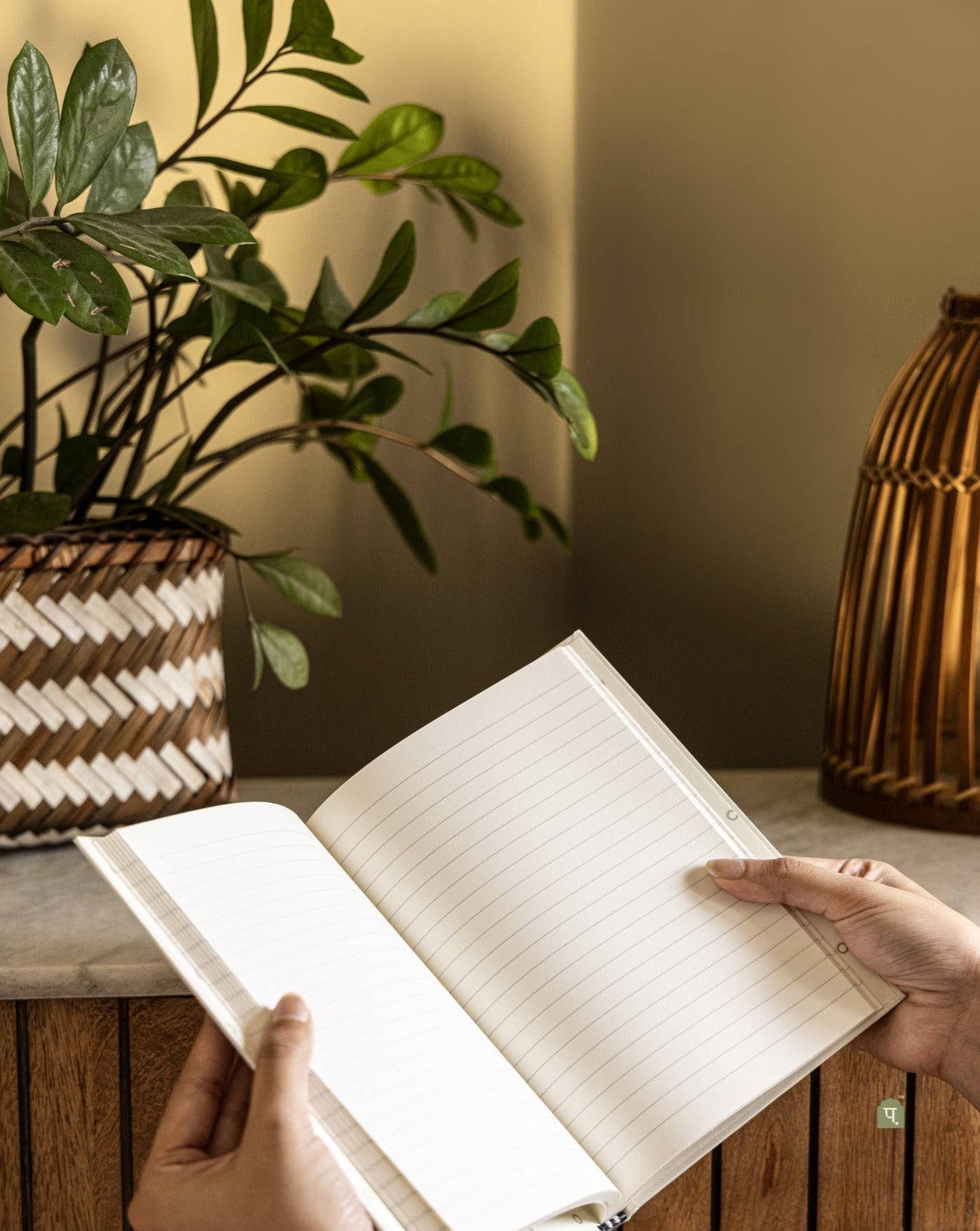 aries journal