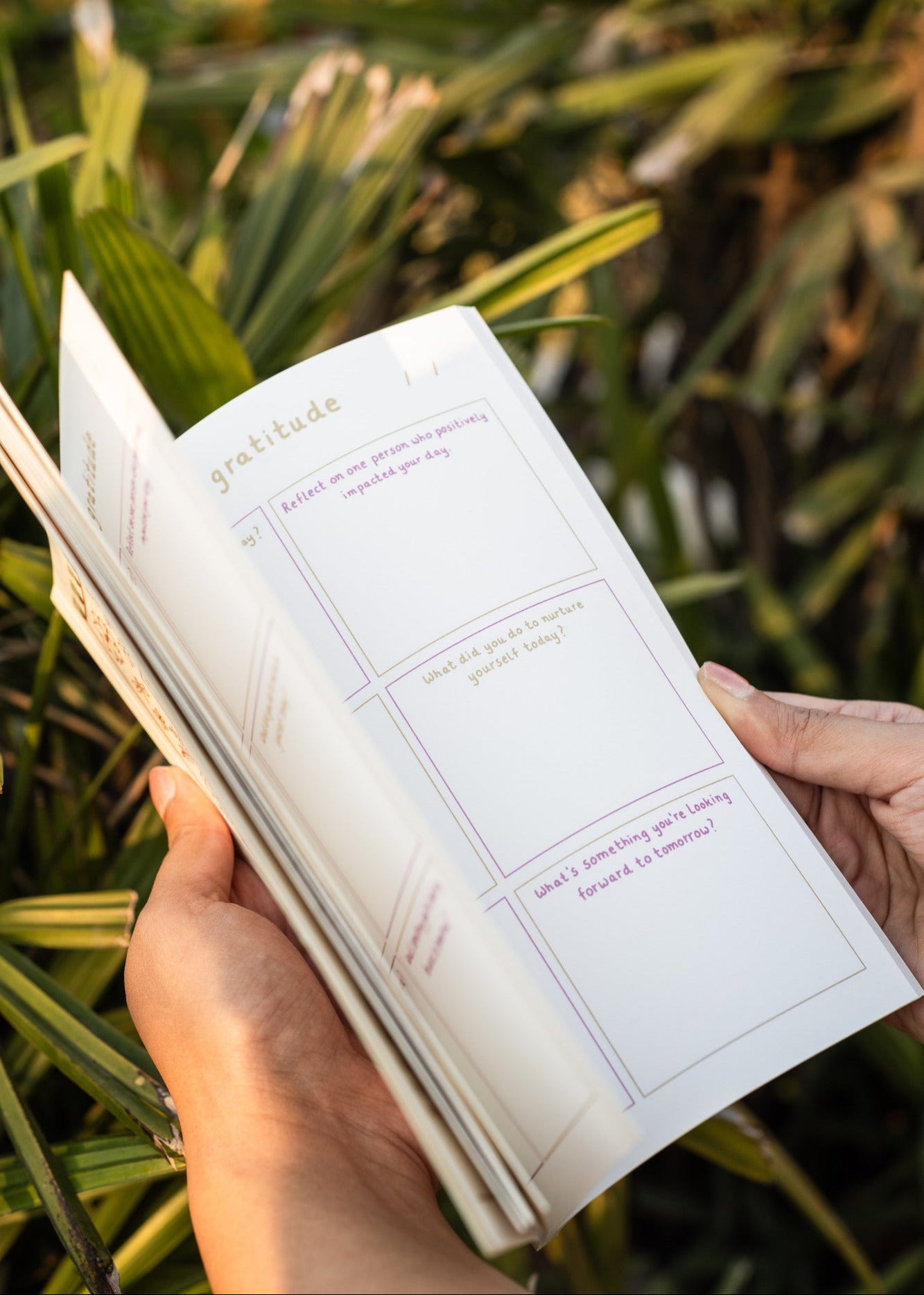 something good in every day: a guided gratitude journal