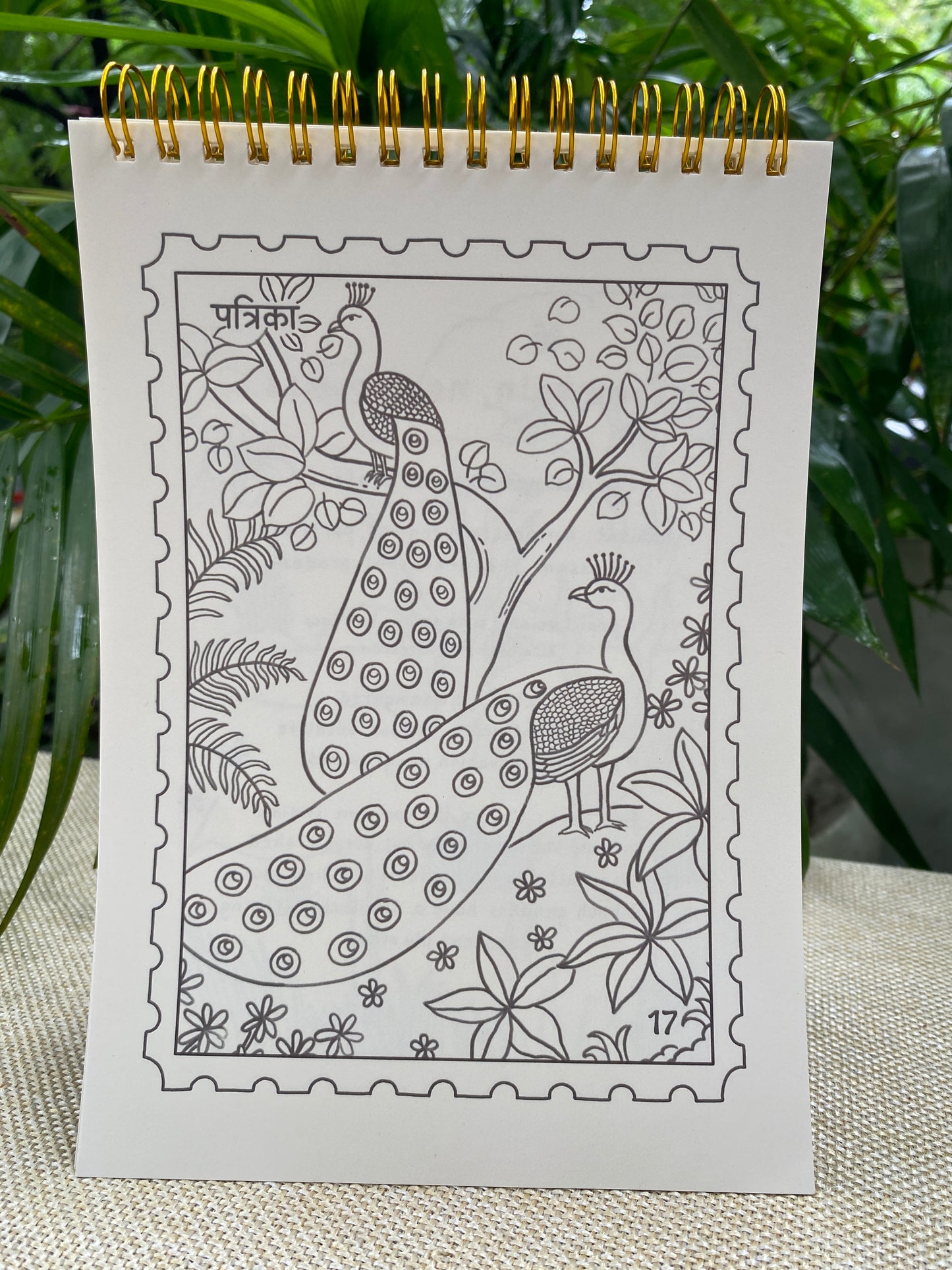 'echoes of the wild' mindful colouring book