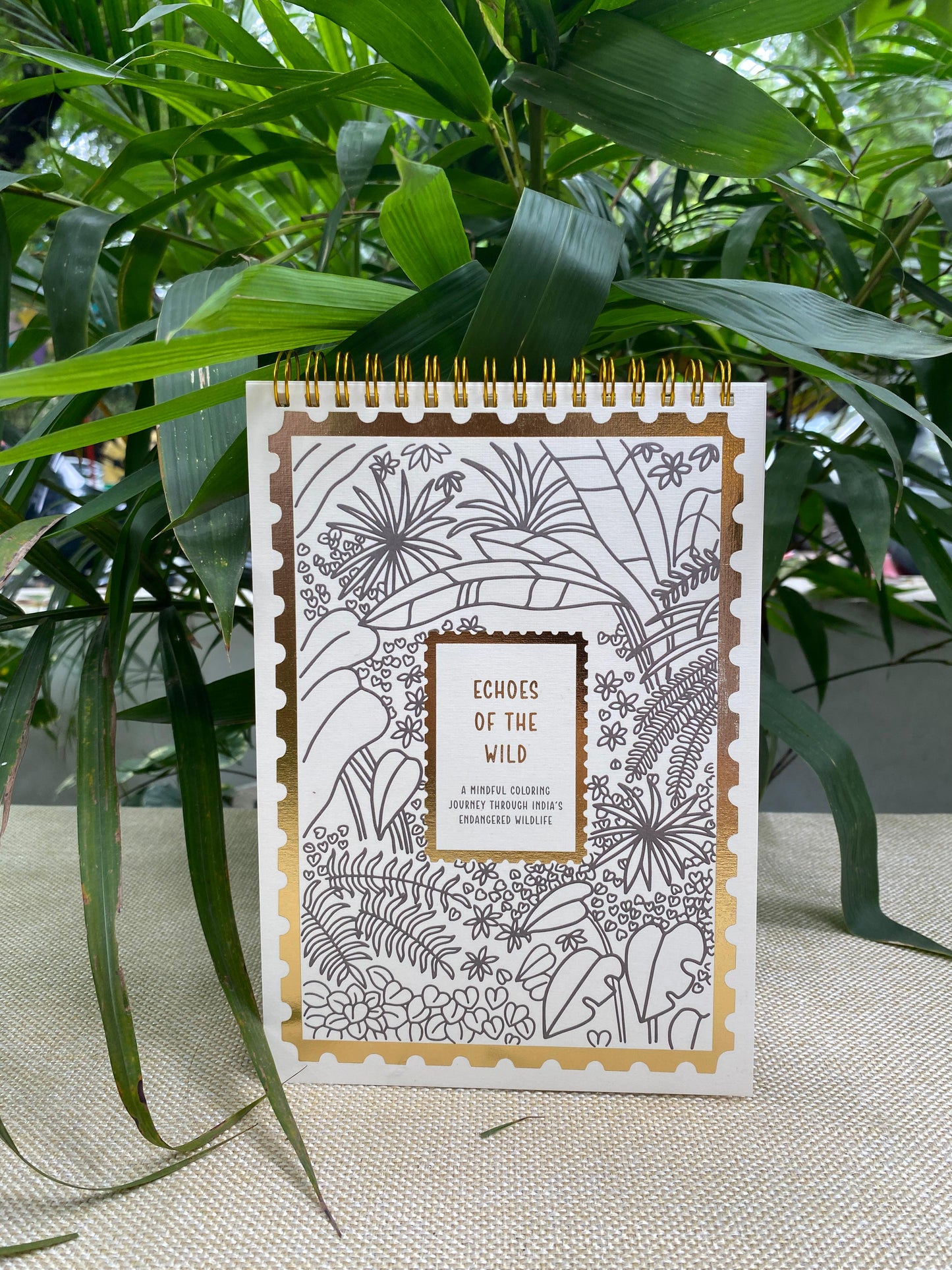 'echoes of the wild' mindful colouring book